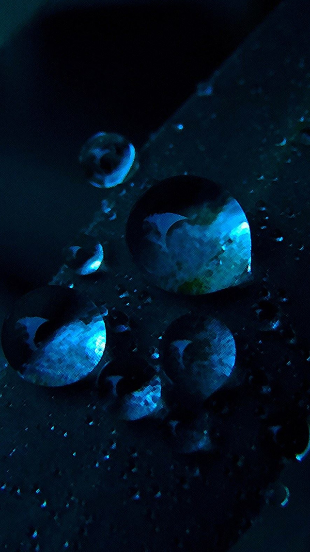 Macro Water Drops Dark Blue Grass iPhone Wallpapers Free Download