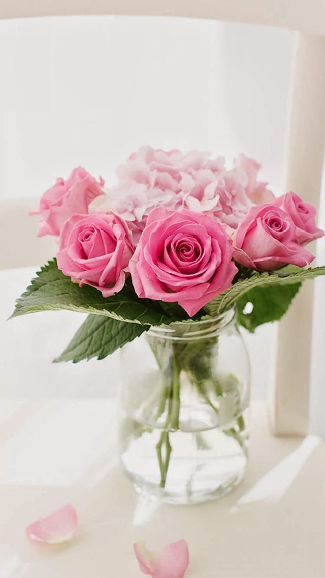 640x1136 Pink Rose Bouquet Vase Macro - chair iPhone Wallpaper