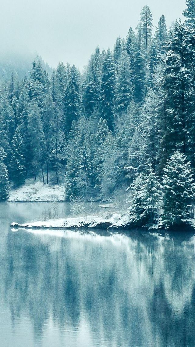 640x1136 Pine Forest Lake Snow - lake iPhone Wallpaper