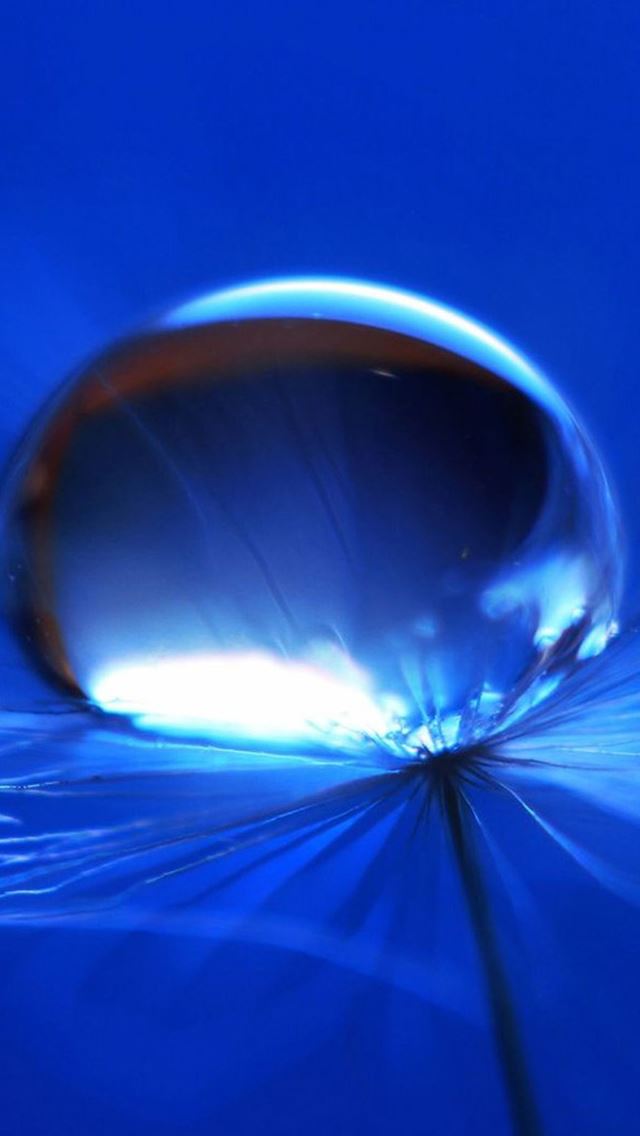 640x1136 Pure Blue Waterdrop Macro - dew iPhone Wallpaper