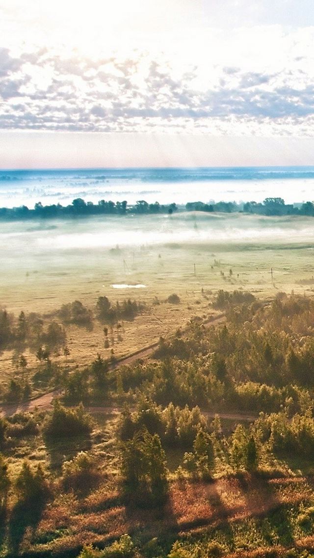 640x1136 Natural Sunlight Refracted Landscape - trees iPhone Wallpaper