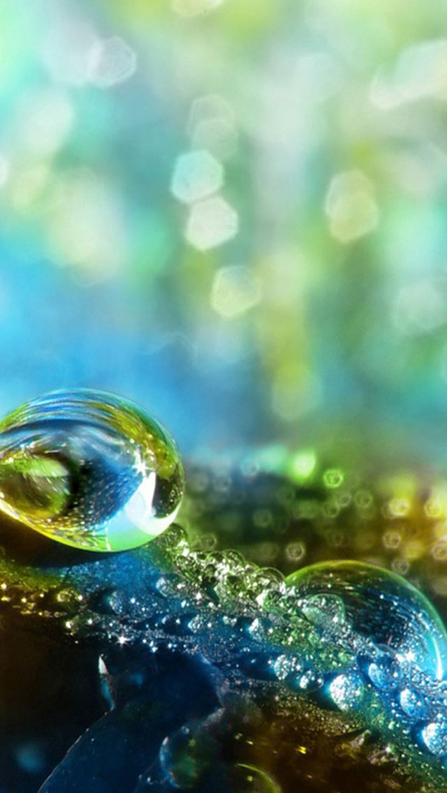 640x1136 Dreamy Bokeh Dew Water Drop Macro - fantasy iPhone Wallpaper