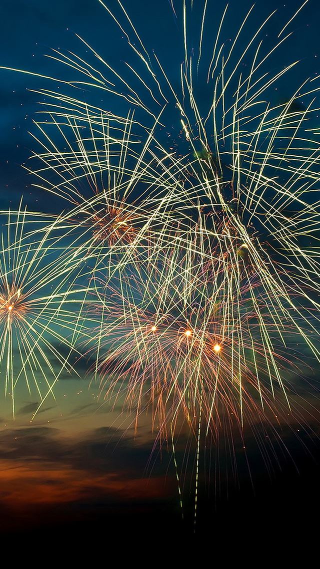 640x1136 Happy New Year 2015 Fireworks Sunset - sparkle iPhone Wallpaper