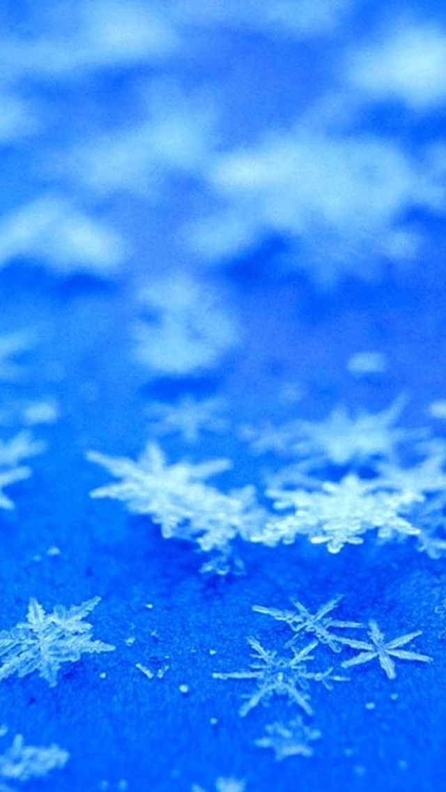 Icy Snowflake Flower Pure Blue Background iPhone Wallpapers Free Download