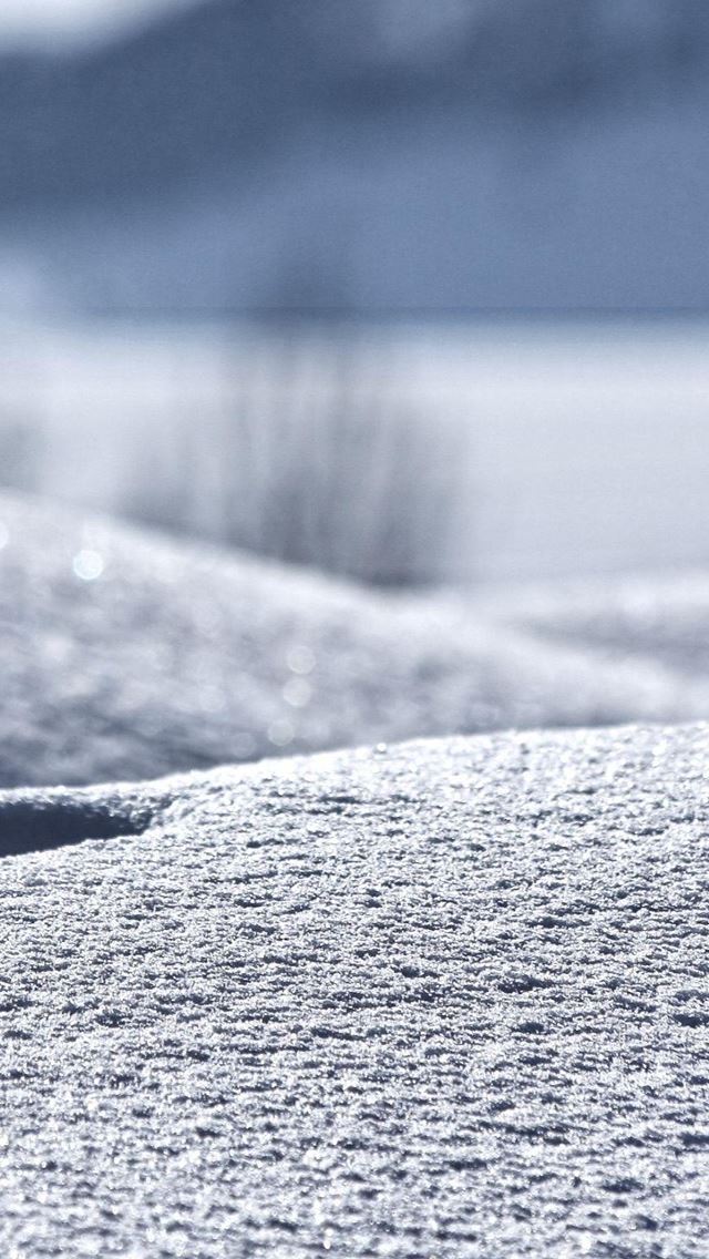 640x1136 Winter In My Backyard - view iPhone Wallpaper