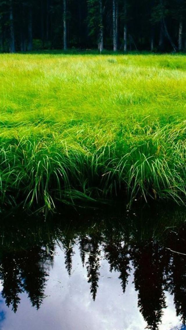 640x1136 Nature Forest Grassland Lake Reflection - reflection iPhone Wallpaper