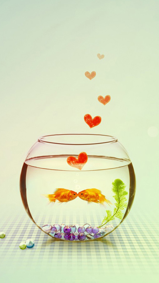 Kissing Lovely Goldfish Couple Iphone Wallpapers Free Download