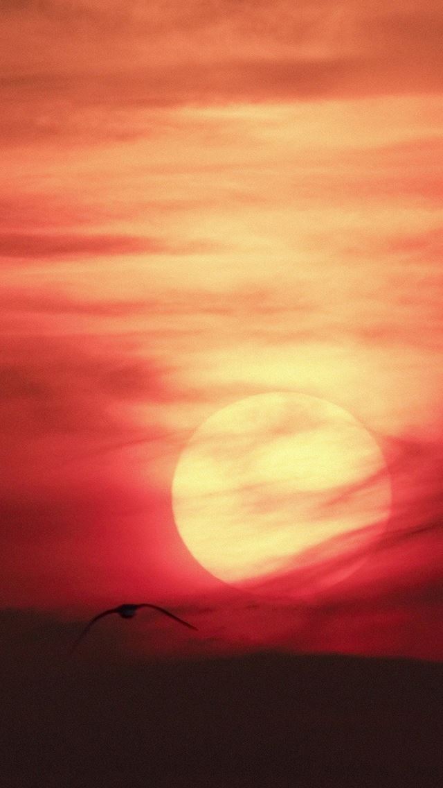 640x1136 Artistic Red Sunset Desert - desert iPhone Wallpaper