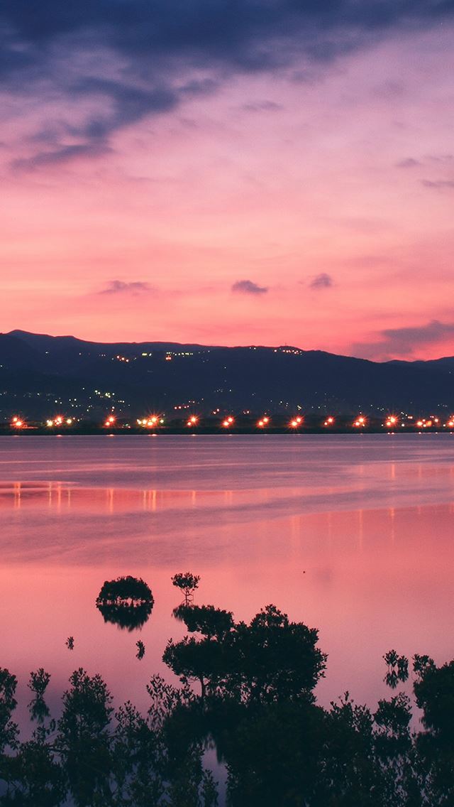 640x1136 Nature River Bank Night Cityscape - tree iPhone Wallpaper