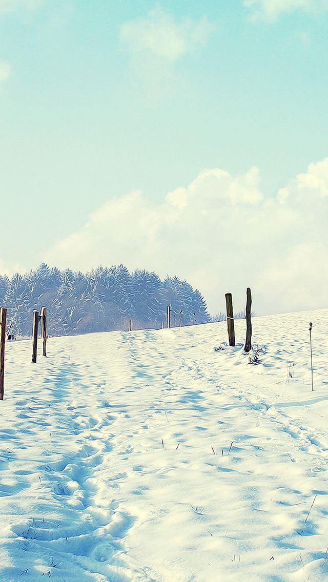 640x1136 Outdoor Sunny Snow Filed Path - clear iPhone Wallpaper