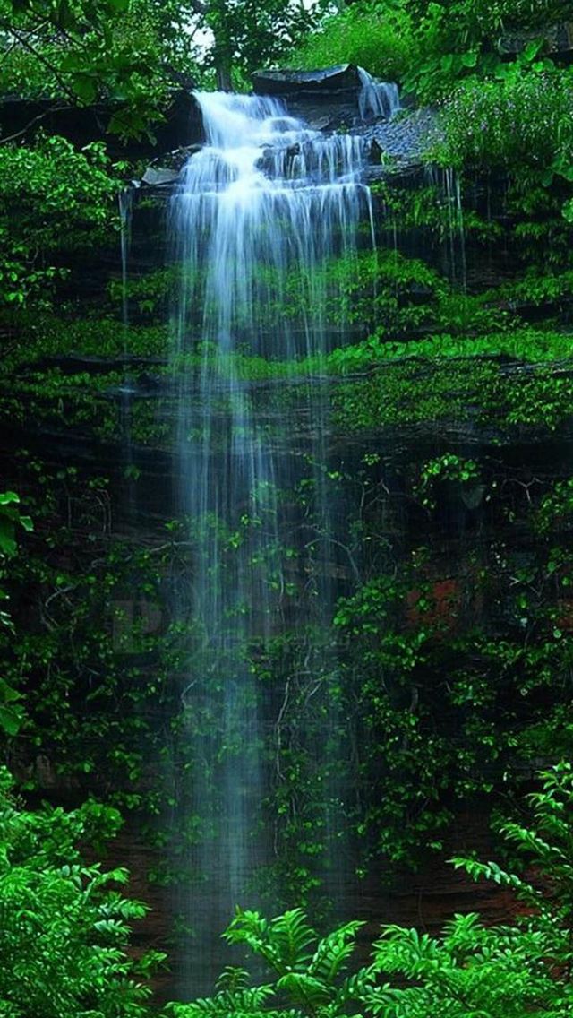 640x1136 Rock Waterfall From Green Thicket - tree iPhone Wallpaper