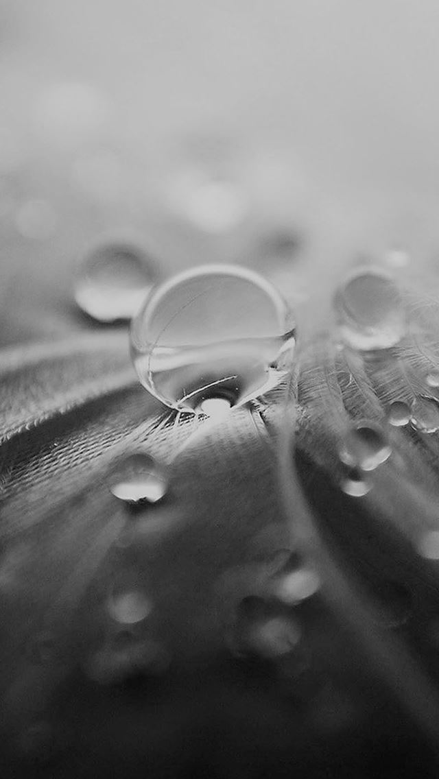 640x1136 Nature Raindrops On Leaf Art In Dark - dark (black) iPhone Wallpaper