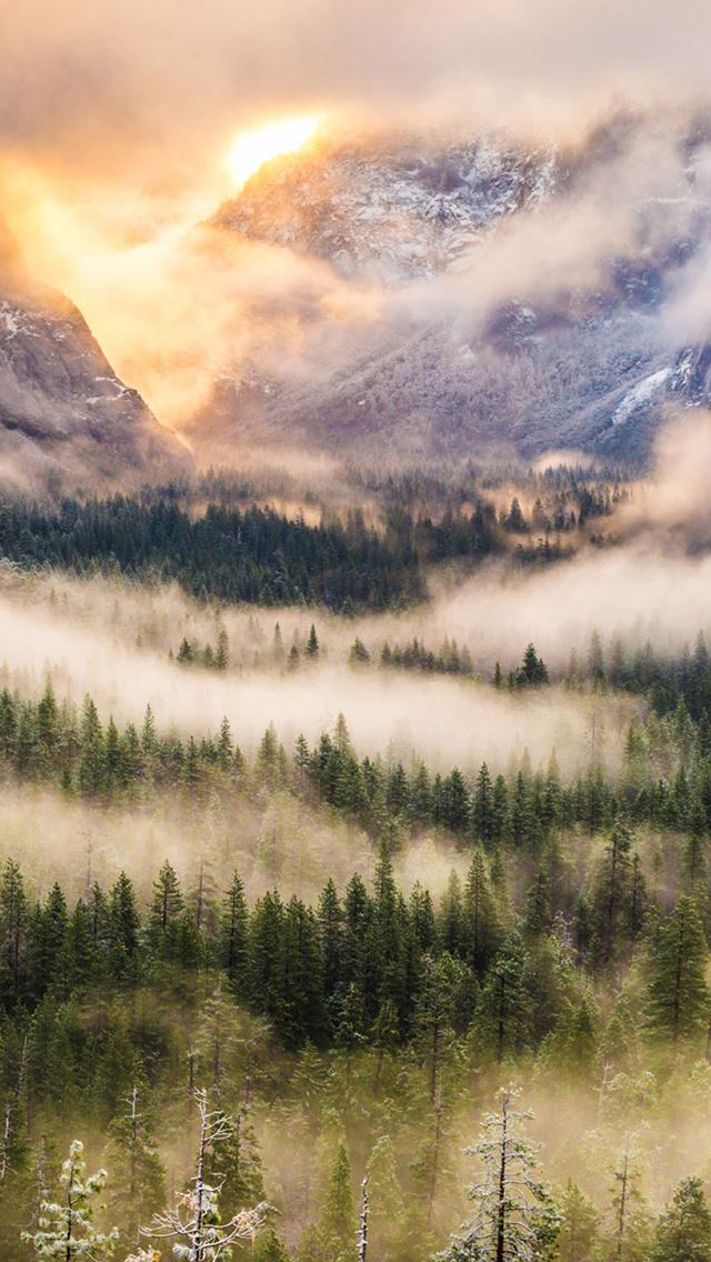 640x1136 Nature Foggy Forest Mountains Landscape - mountains iPhone Wallpaper