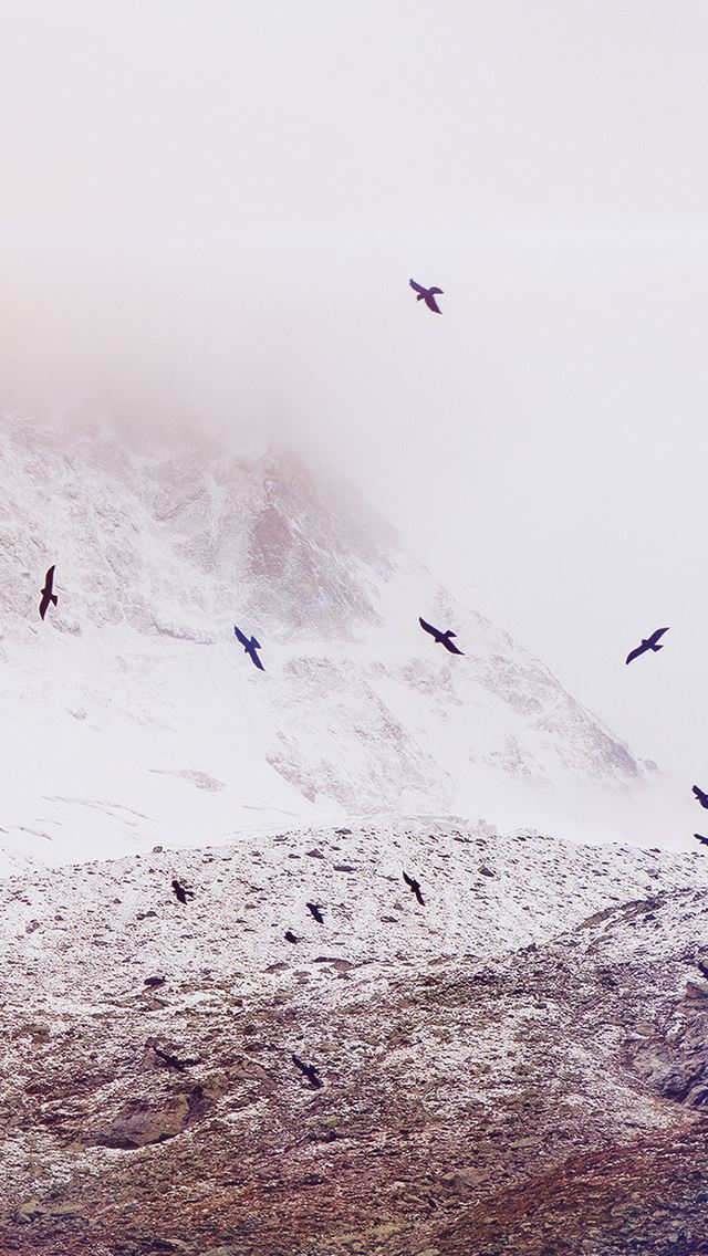 640x1136 Nature Winter Snowy Mountains Flying Birds - mountains iPhone Wallpaper