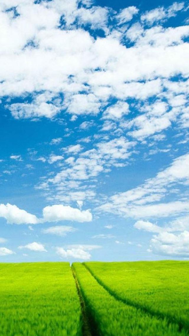 640x1136 Nature Green Farming Land Blue Skyscape - clouds iPhone Wallpaper
