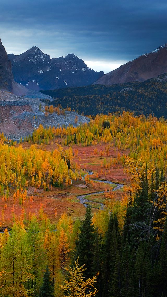 640x1136 Nature Mountain Forest Tree Skyscape View - skyscape iPhone Wallpaper