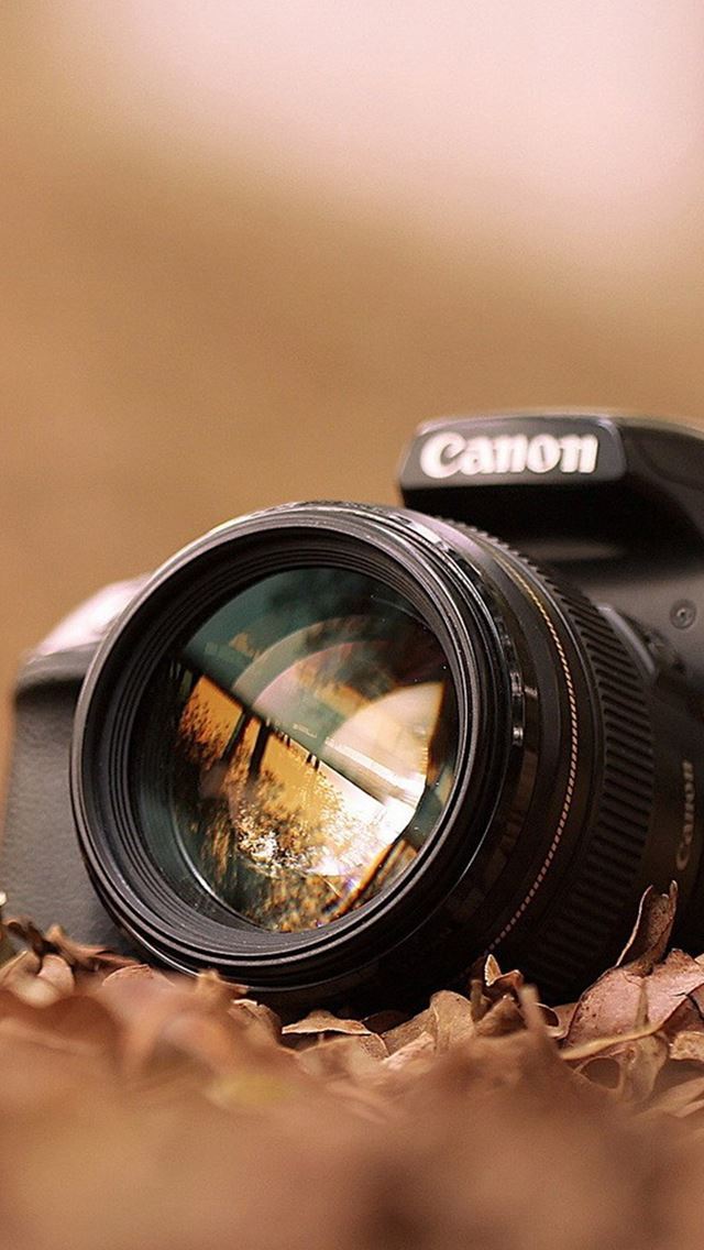1284x2778 Canon Camera Macro Fall Leaves - canon iPhone Wallpaper