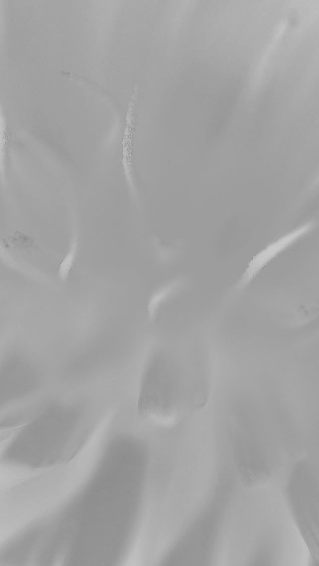 640x1136 White Flower Zoom Nature - zoom iPhone Wallpaper