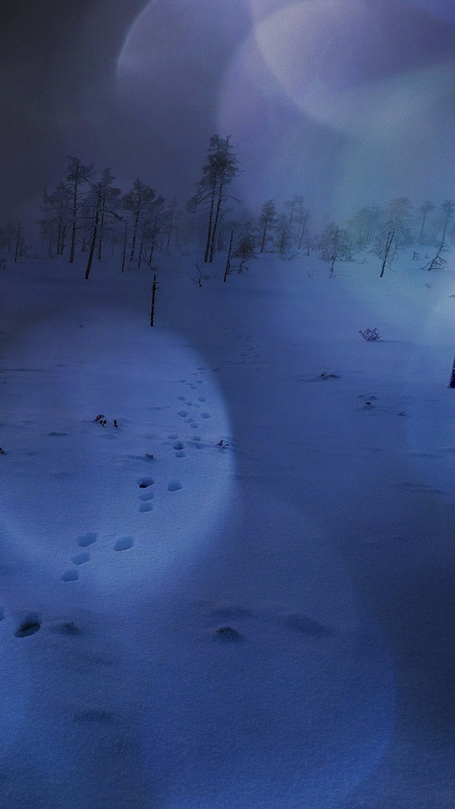 Snow Walk Winter Dark Blue Bokeh Footprints Nature iPhone wallpaper 