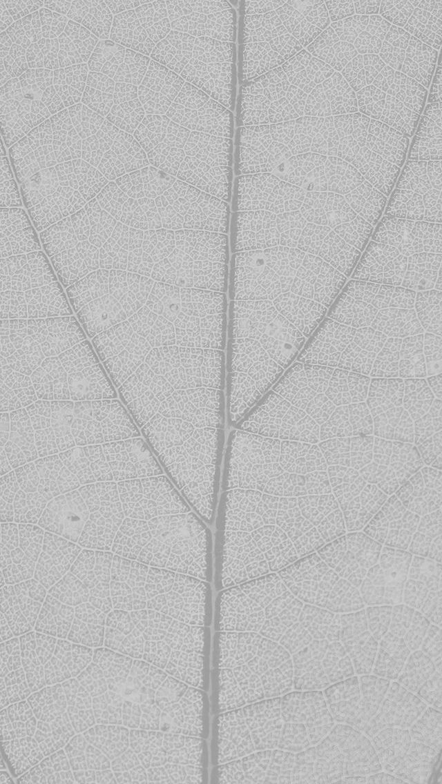 640x1136 White Leaf Grain Texture Nature Pattern - pure iPhone Wallpaper