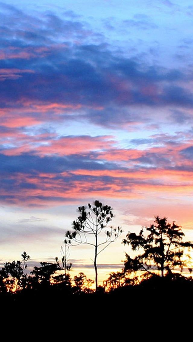 640x1136 Nature Sunset Cloud Skyscape Woodland Landscape -  iPhone Wallpaper