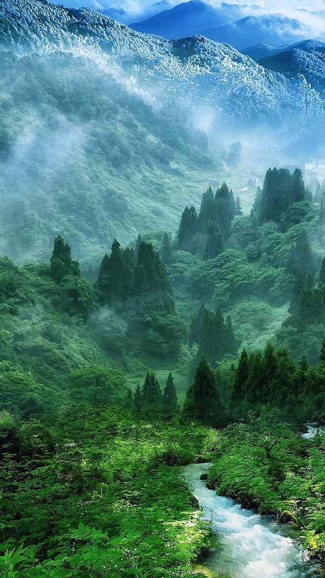 1284x2778 Nature Mist Mountain Wood Forest River Landscape -  iPhone Wallpaper