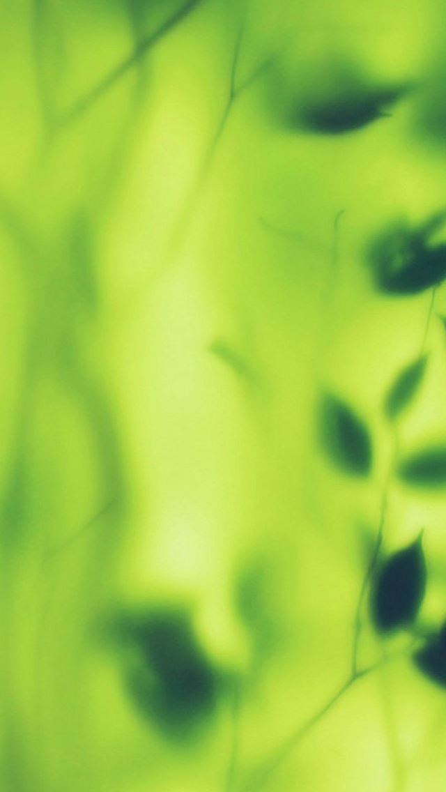 640x1136 Bokeh Window Leaf Green Pattern -  iPhone Wallpaper