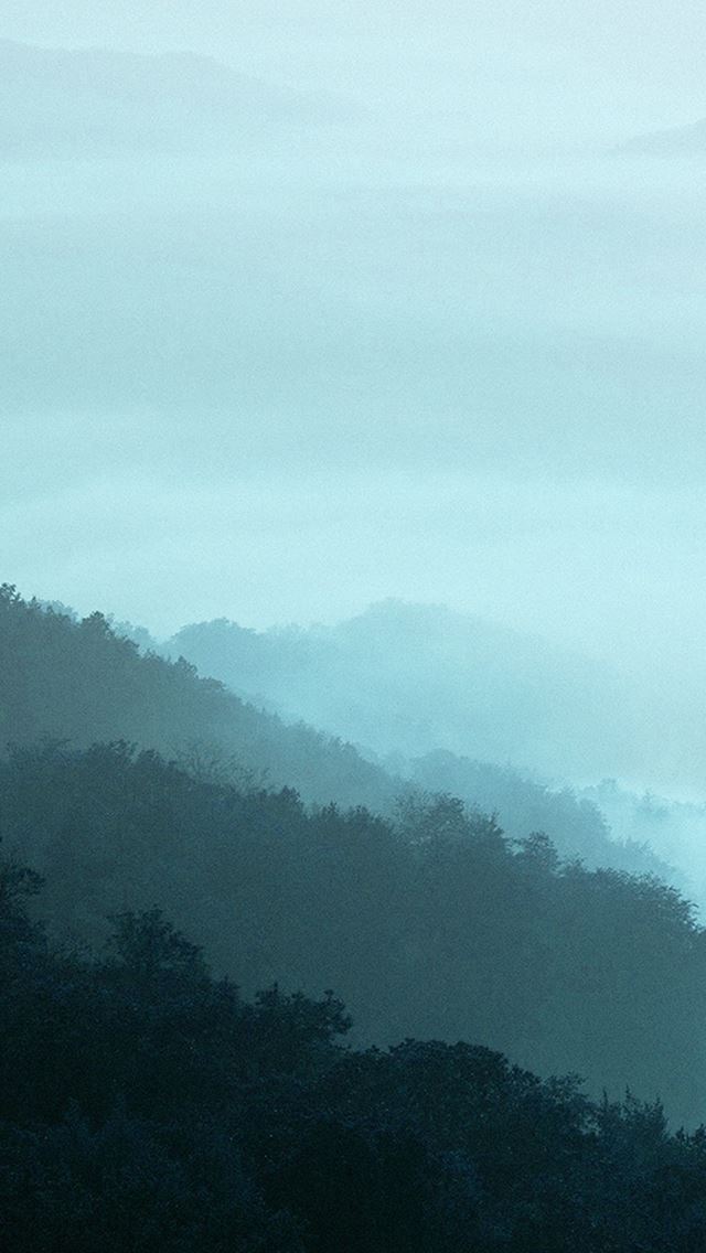 640x1136 Mountain Fog Green Nature - mountains iPhone Wallpaper