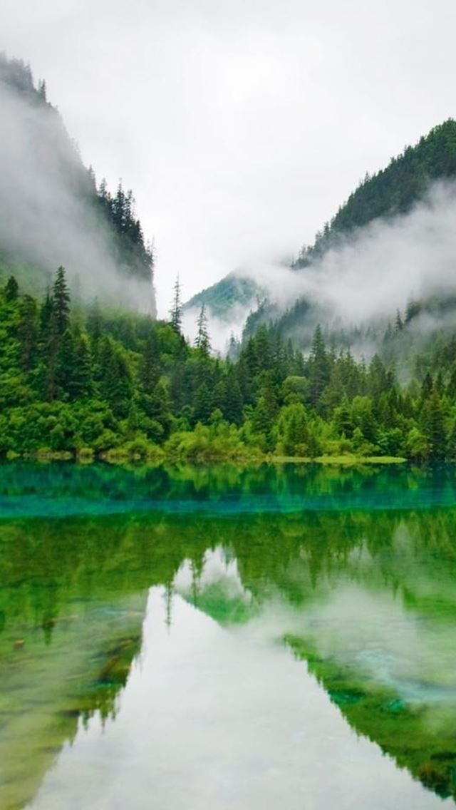 640x1136 Nature Foggy Mountains Calm Lake Forest - lake iPhone Wallpaper