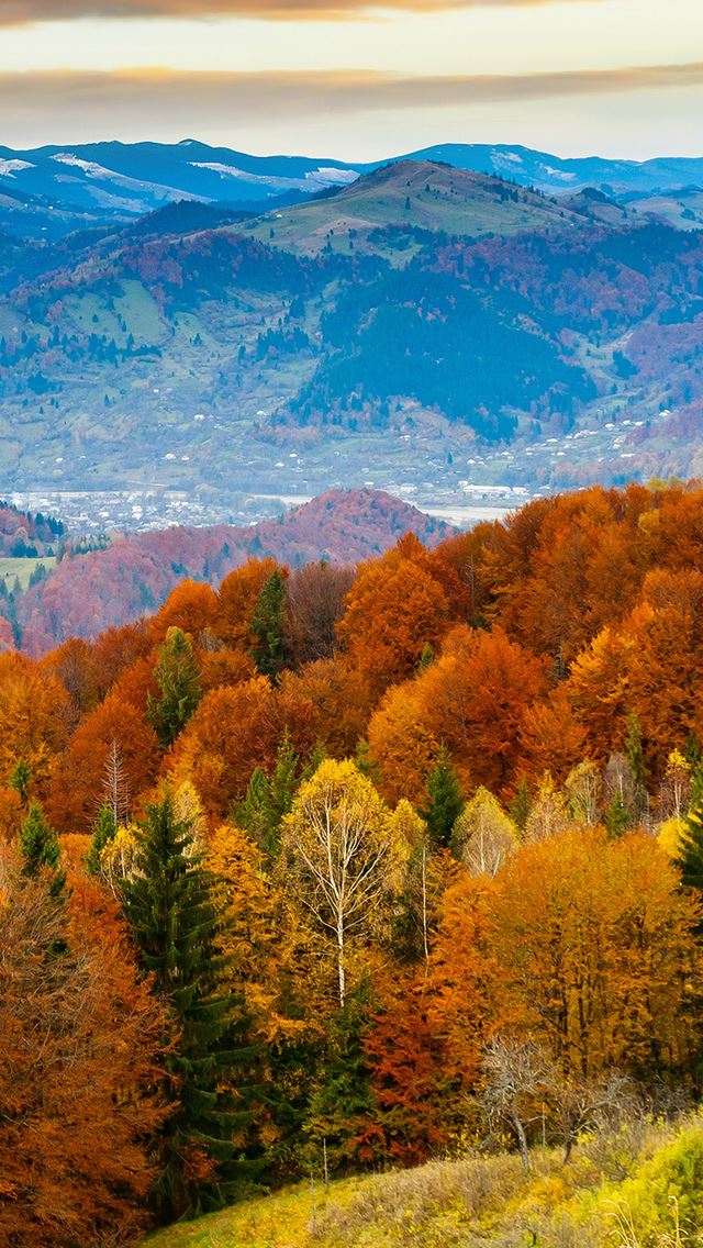 640x1136 Fall Mountain Fun Red Orange Tree Nature - view iPhone Wallpaper