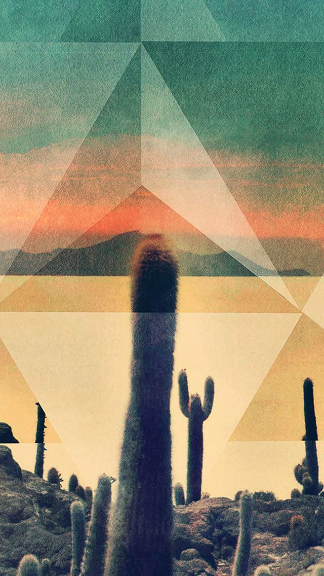 640x1136 Desert Drought Cactus Rhombus Cover Art - desert iPhone Wallpaper