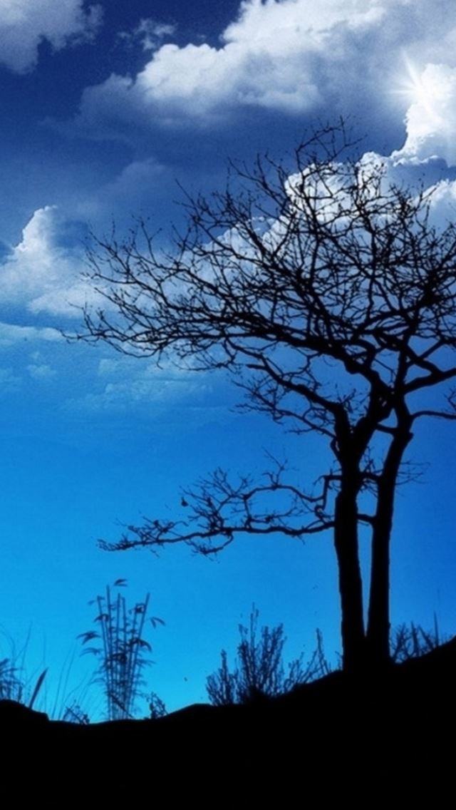 640x1136 Blue Bright Night Hill Tree Cloudy Skyscape - hill iPhone Wallpaper
