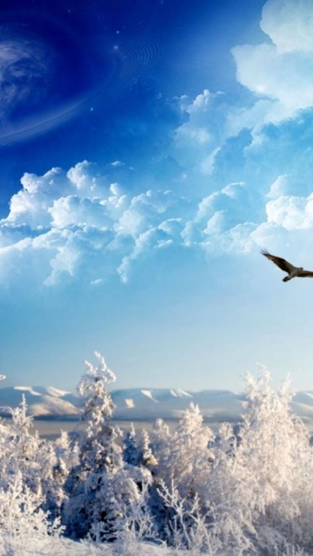 640x1136 Nature Wonderful Winter Snowy Land Shiny Cloudy Space - eagle iPhone Wallpaper
