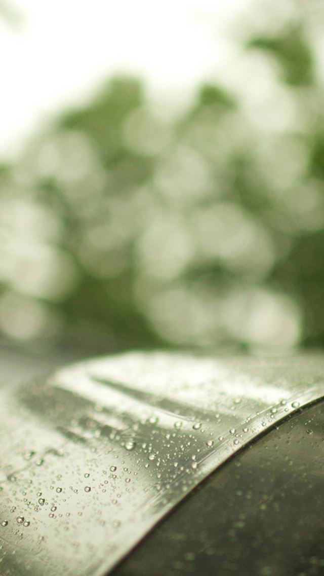 640x1136 Nature Rainy Dew Wet Transparent Umbrella Bokeh Art - dew iPhone Wallpaper