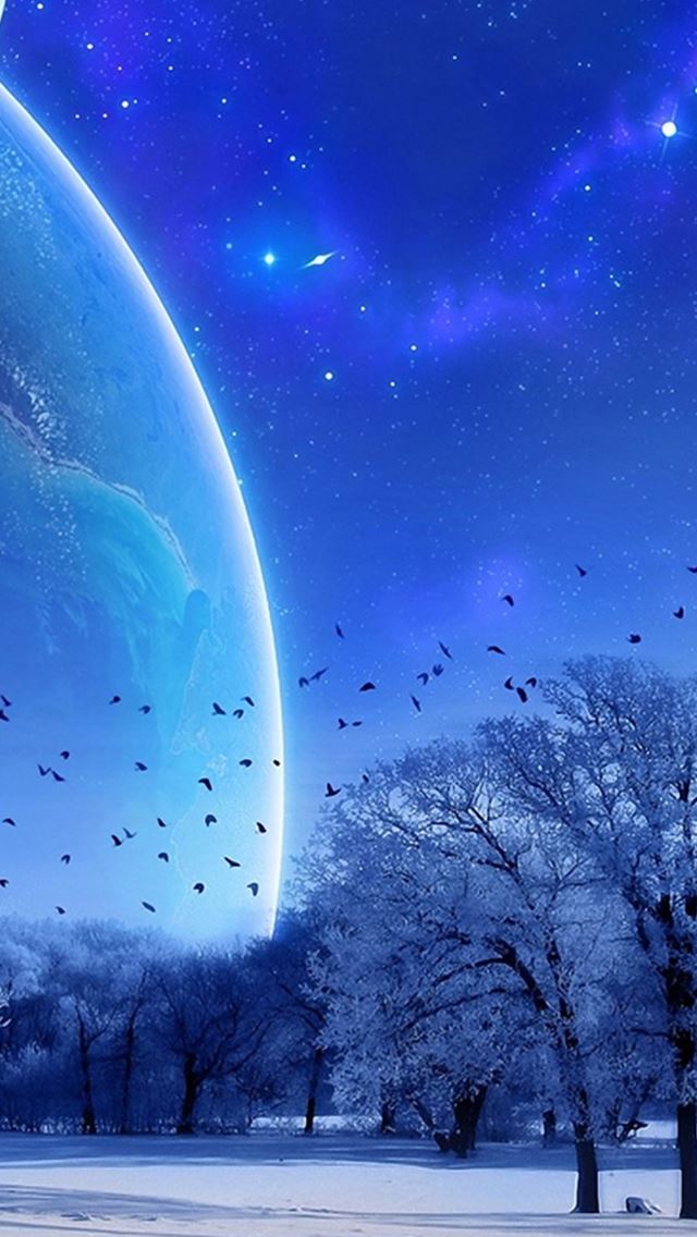 640x1136 Fantasy Skyview Outer Space - bird iPhone Wallpaper
