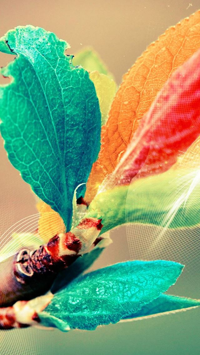 640x1136 Beautiful Colorful Bud Leaf Branch Silk Line Art - macro iPhone Wallpaper
