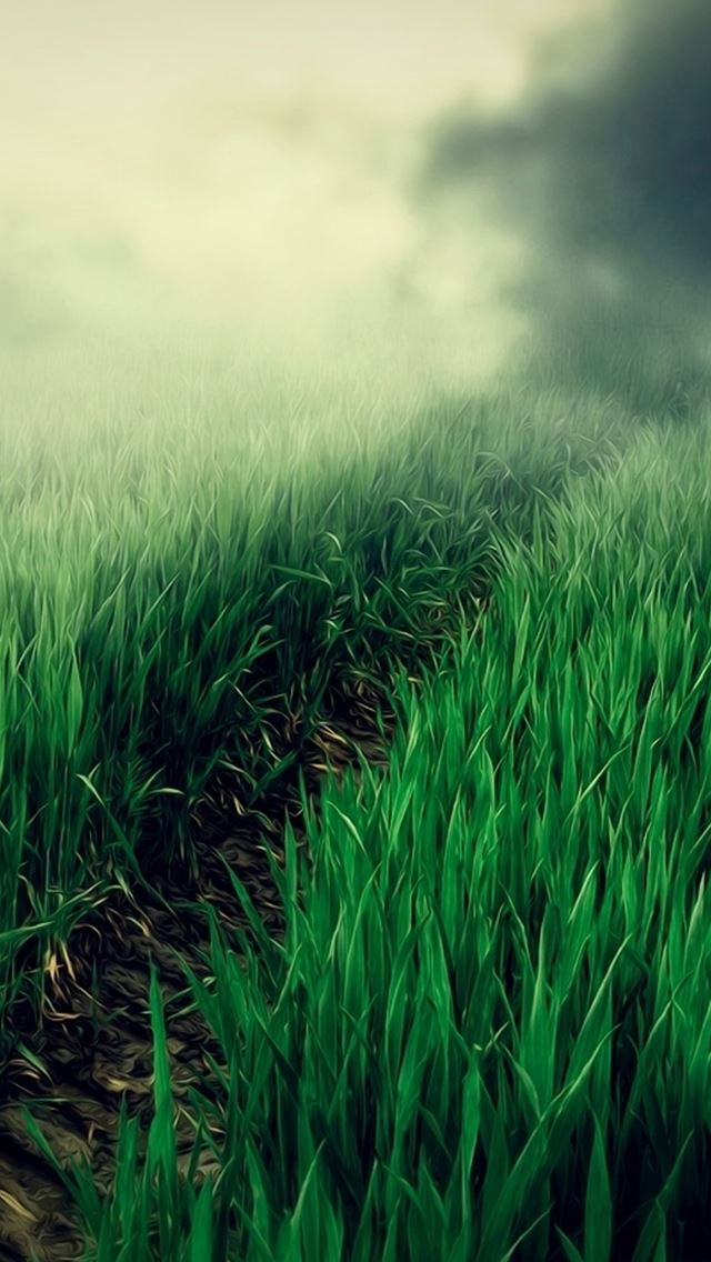 640x1136 Country Foggy Twilight Grass Leafy Field Path - country iPhone Wallpaper