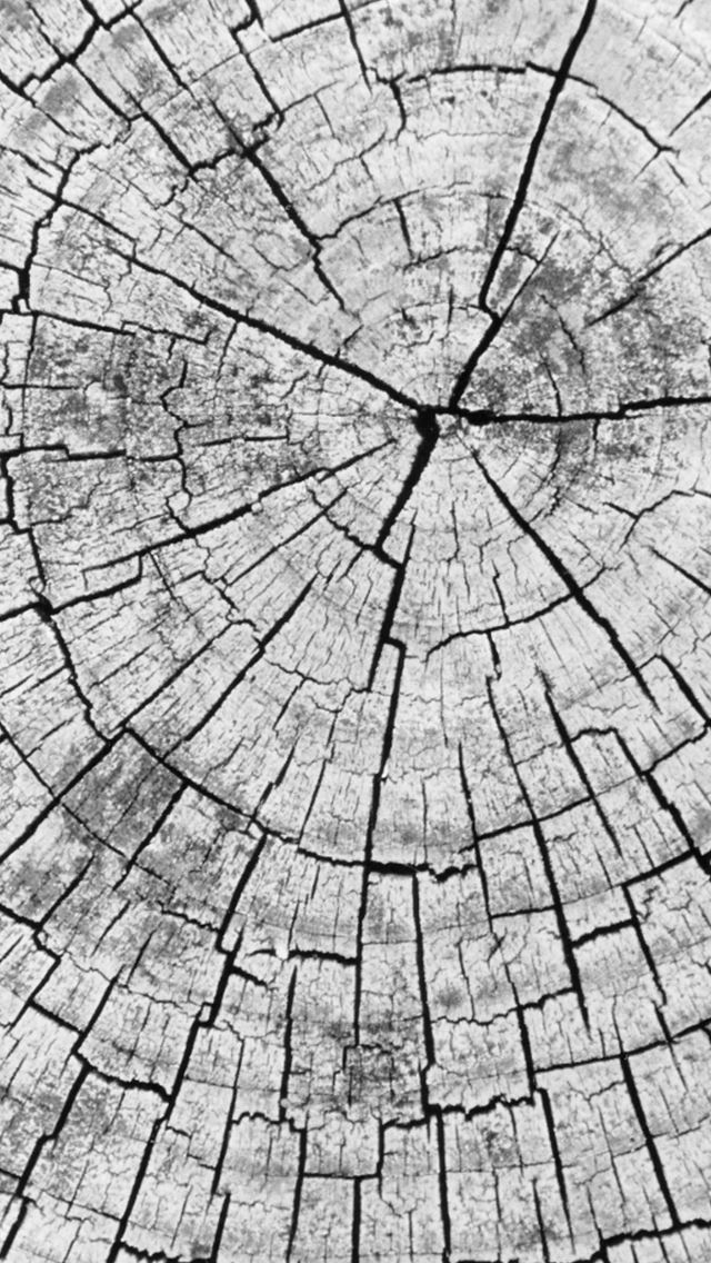 640x1136 Abstract Wood Pile Head Texture Background - pure iPhone Wallpaper
