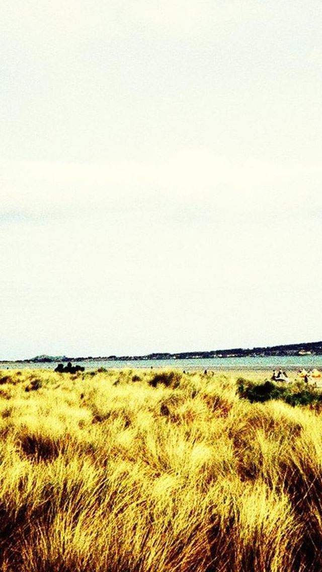 640x1136 Nature Vast Desolate Grass Field - view iPhone Wallpaper