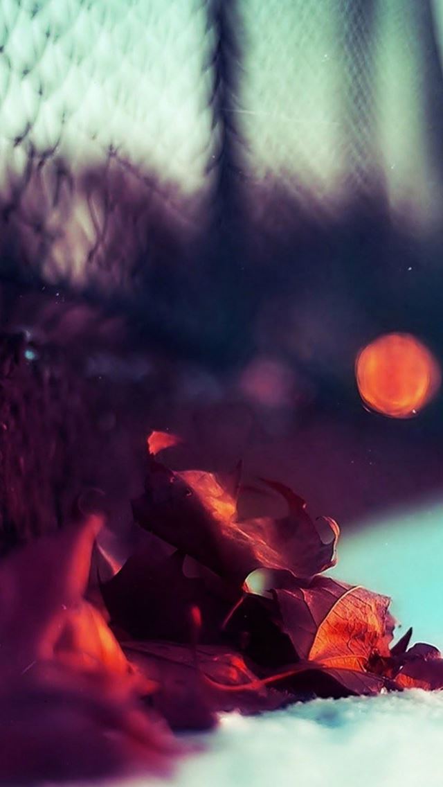 640x1136 Beautiful Fence Redwood Leaves Closeup - beautiful iPhone Wallpaper