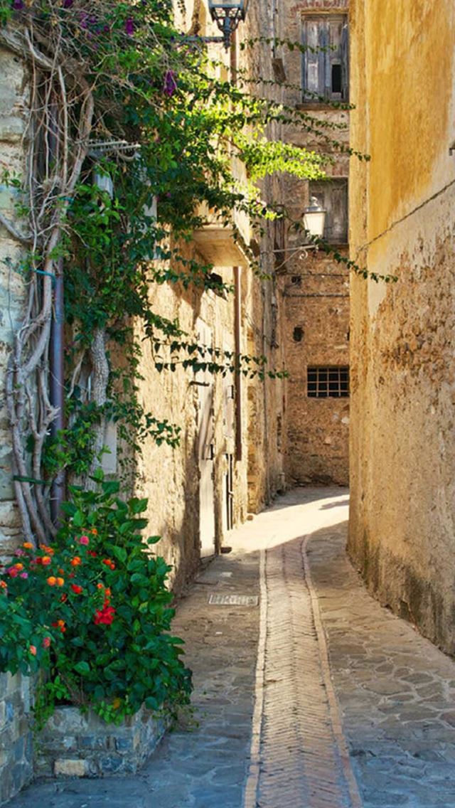 640x1136 Nature Country Road Sunshine Architecture - retro iPhone Wallpaper