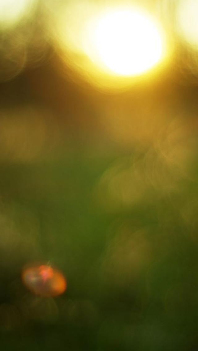 640x1136 Nature Sunset Bokeh Blur World - bokeh iPhone Wallpaper