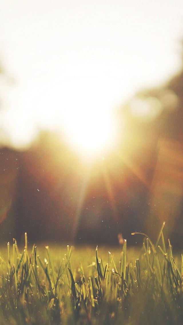 640x1136 Nature Front Yard Sunshine - land iPhone Wallpaper