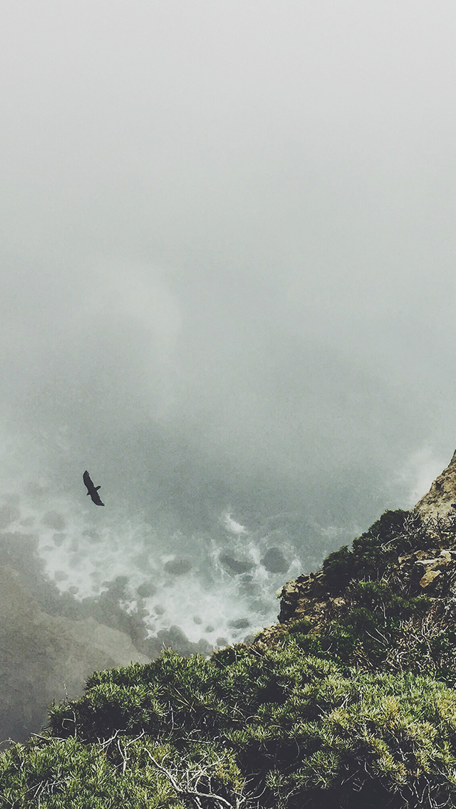 Mountain Eagle Bird Cliff Animal Fog Cloud iPhone wallpaper 