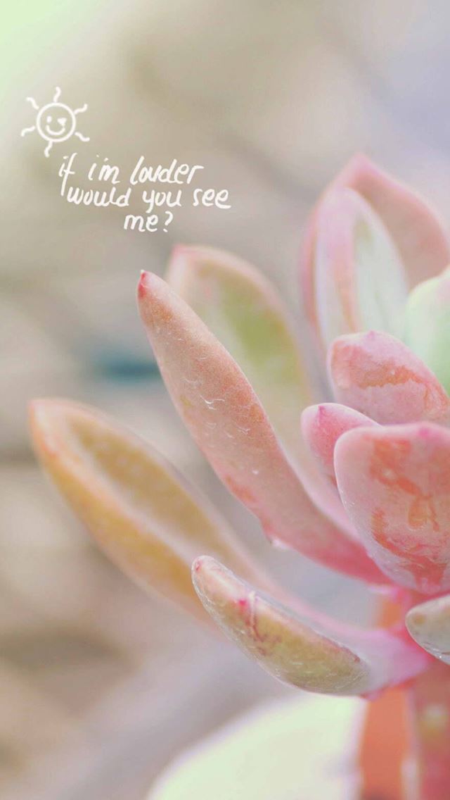 640x1136 Pure Elegant Pink Fleshy Plant Bokeh Macro - bokeh iPhone Wallpaper