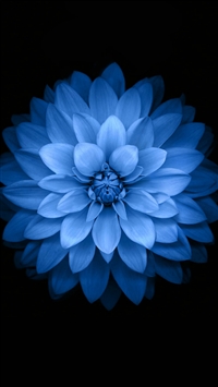 Blue Lotus iOS 8 Pattern Art wallpaper