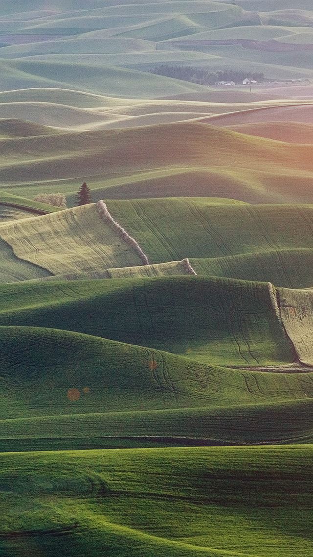640x1136 Field Nnature Green Wood Earth Morning Flare - plain iPhone Wallpaper