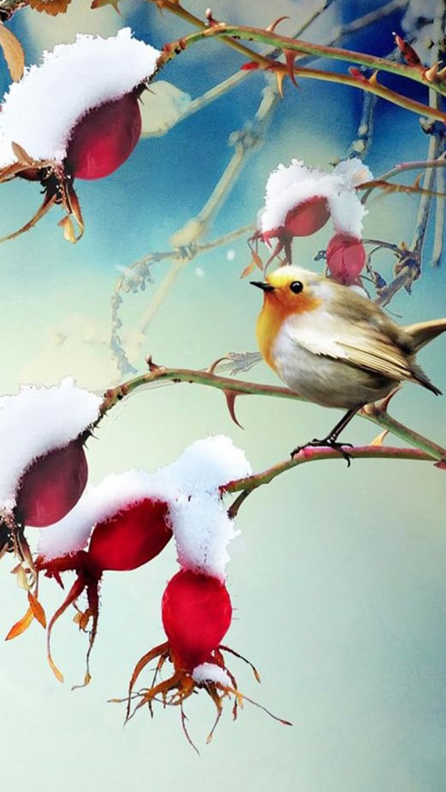 Nature Snowy Branch Plant Bird Landscape iPhone Wallpapers Free Download