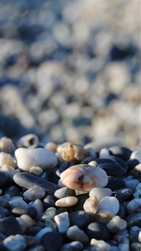 Nature Seaside Beach Pebbles Bokeh wallpaper