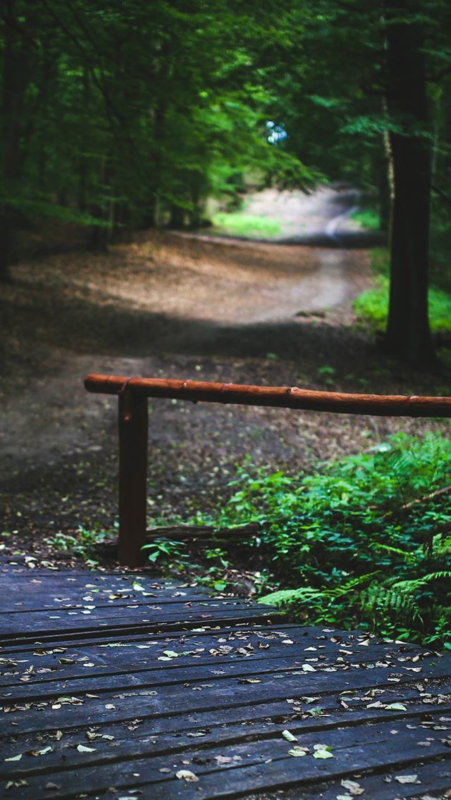640x1136 Wood Nature Forest Road Mountain Dark Summer - forest iPhone Wallpaper
